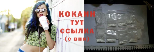 трава Белокуриха