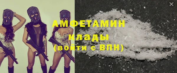 трава Белокуриха