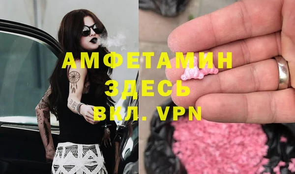 трава Белокуриха