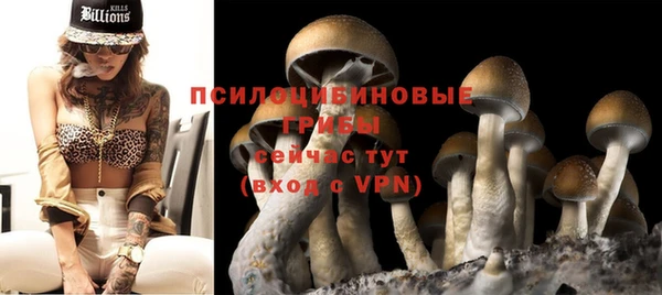 таблы Белоозёрский