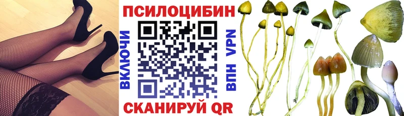 где купить   дарк нет состав  Псилоцибиновые грибы Magic Shrooms  Магас 