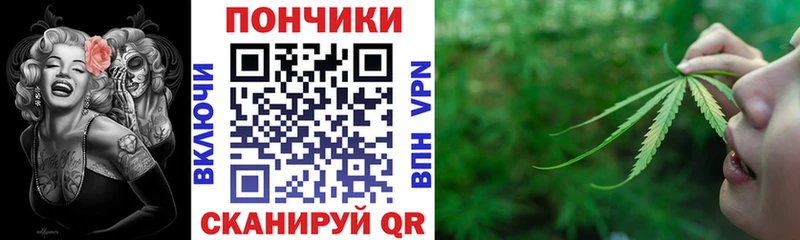 Шишки марихуана SATIVA & INDICA  где найти наркотики  Магас 